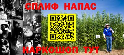 мяу мяу мука Нарткала