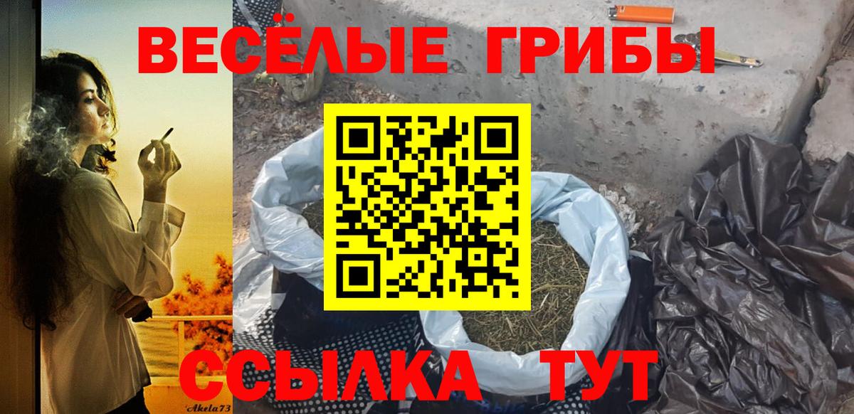 Галлюциногенные грибы прущие грибы Углич